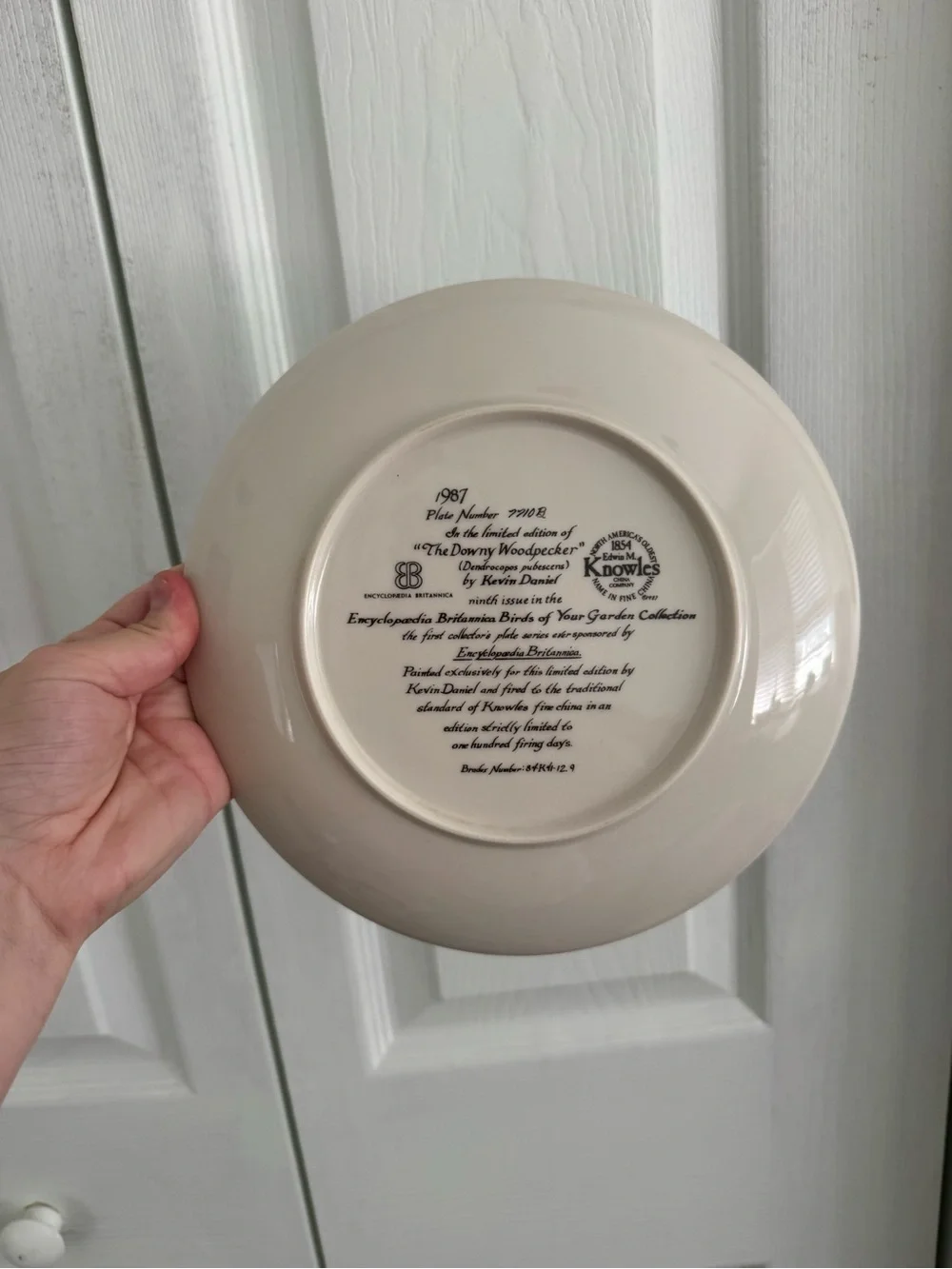 Knowles 'The Downy Woodpecker' Collector Plate by Kevin Daniel